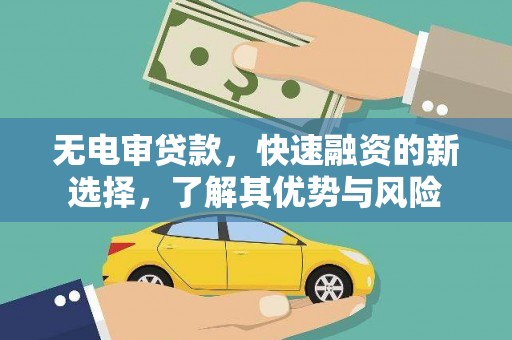 鹿谷无电审贷款，快速融资的新选择，了解其优势与风险