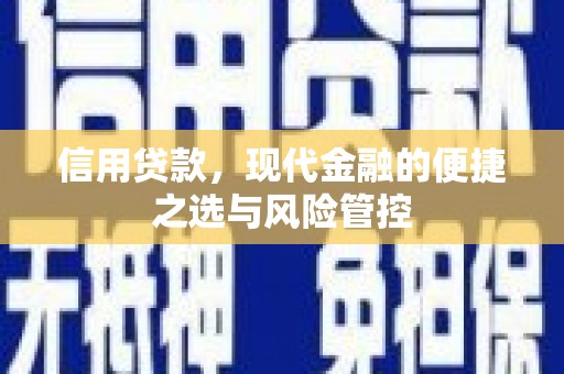 鹿谷信用贷款，现代金融的便捷之选与风险管控