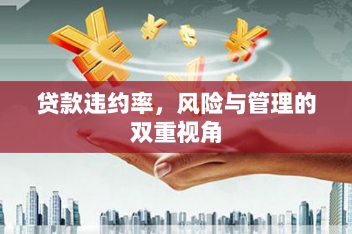 鹿谷贷款违约率，风险与管理的双重视角