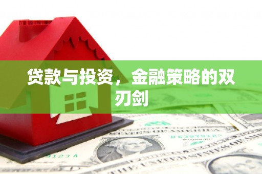 鹿谷贷款与投资，金融策略的双刃剑