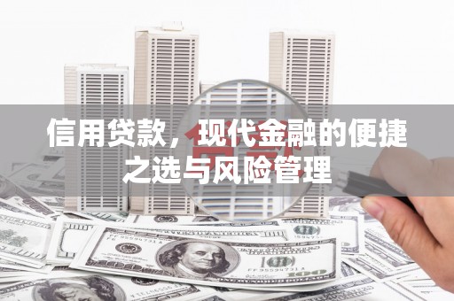 鹿谷信用贷款，现代金融的便捷之选与风险管理