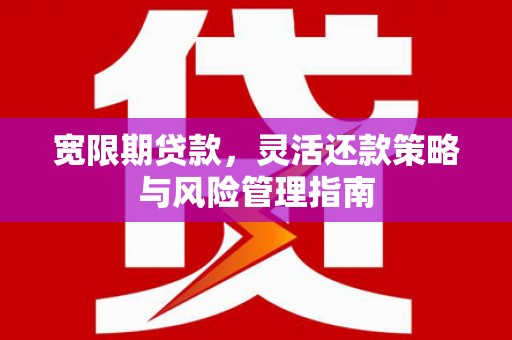 鹿谷宽限期贷款，灵活还款策略与风险管理指南