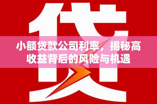 鹿谷小额贷款公司利率，揭秘高收益背后的风险与机遇