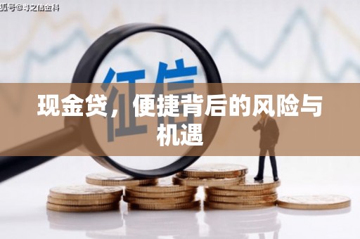 鹿谷现金贷，便捷背后的风险与机遇