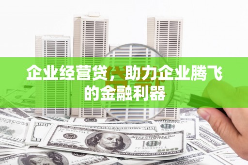 鹿谷企业经营贷，助力企业腾飞的金融利器