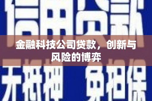 鹿谷金融科技公司贷款，创新与风险的博弈