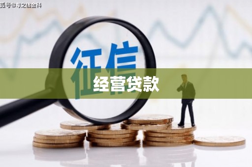 鹿谷经营贷款