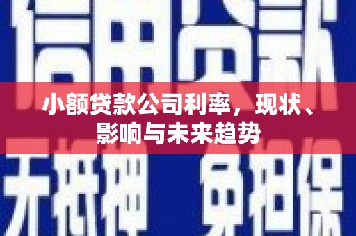 鹿谷小额贷款公司利率，现状、影响与未来趋势