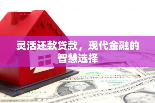 鹿谷灵活还款贷款，现代金融的智慧选择