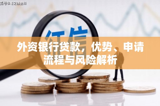 鹿谷外资银行贷款，优势、申请流程与风险解析