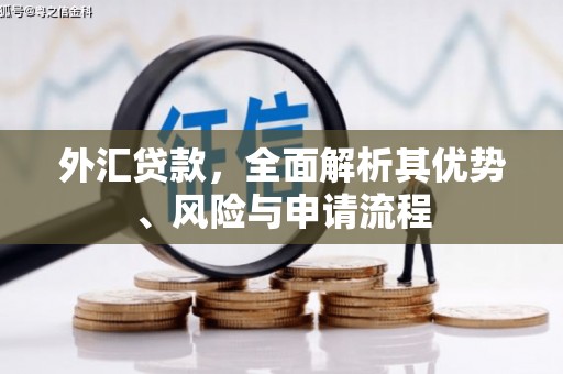 鹿谷外汇贷款，全面解析其优势、风险与申请流程