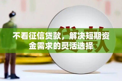 鹿谷不看征信贷款，解决短期资金需求的灵活选择