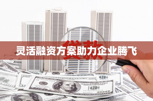 鹿谷灵活融资方案助力企业腾飞