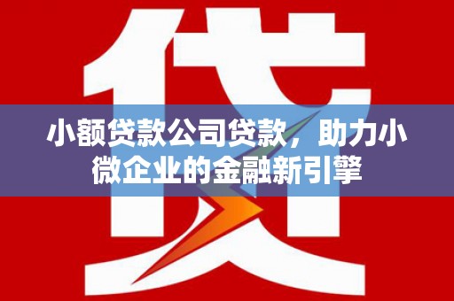 鹿谷小额贷款公司贷款，助力小微企业的金融新引擎