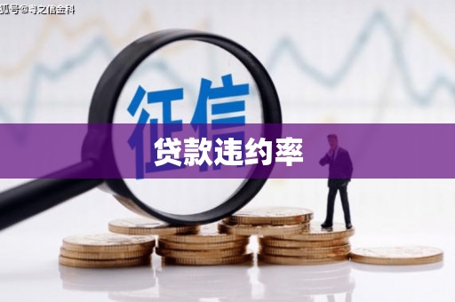 鹿谷贷款违约率