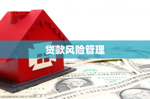 鹿谷贷款风险管理