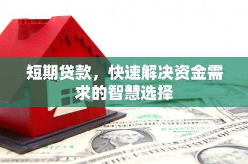 鹿谷短期贷款，快速解决资金需求的智慧选择