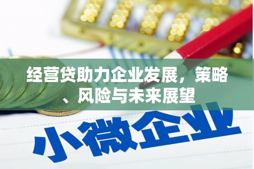 鹿谷经营贷助力企业发展，策略、风险与未来展望