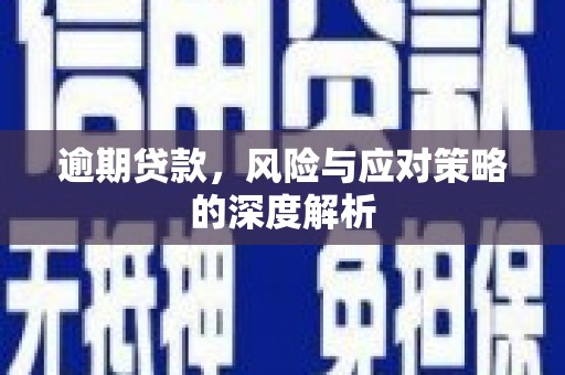 鹿谷逾期贷款，风险与应对策略的深度解析