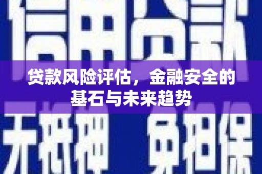 鹿谷贷款风险评估，金融安全的基石与未来趋势