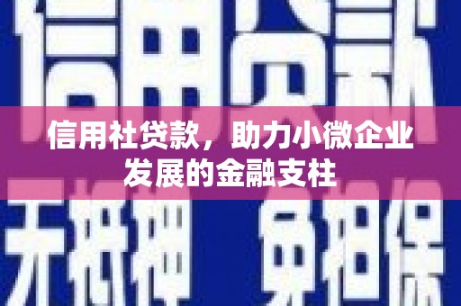 鹿谷信用社贷款，助力小微企业发展的金融支柱