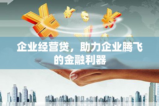 鹿谷企业经营贷，助力企业腾飞的金融利器