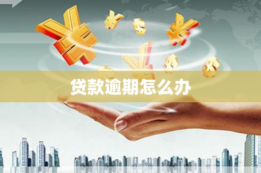 鹿谷贷款逾期怎么办