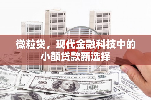 鹿谷微粒贷，现代金融科技中的小额贷款新选择