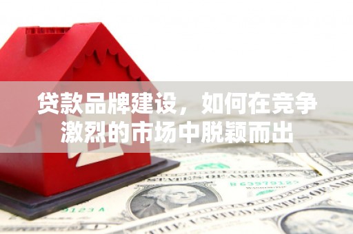 鹿谷贷款品牌建设，如何在竞争激烈的市场中脱颖而出
