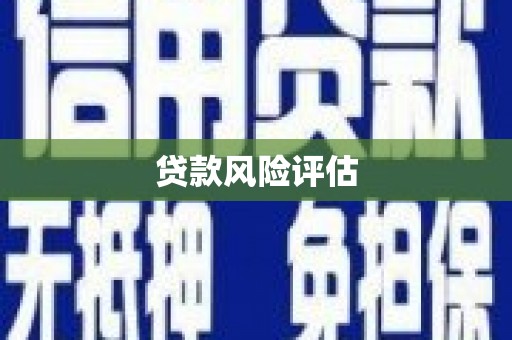 鹿谷贷款风险评估