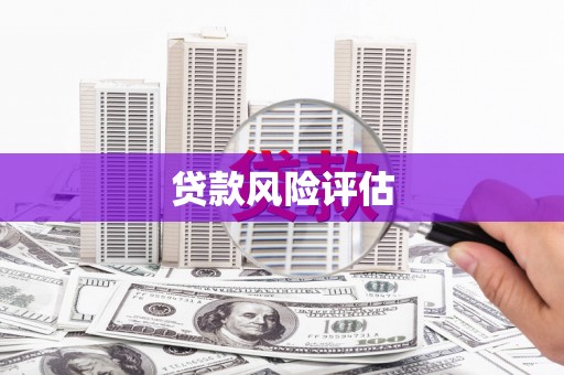 鹿谷贷款风险评估