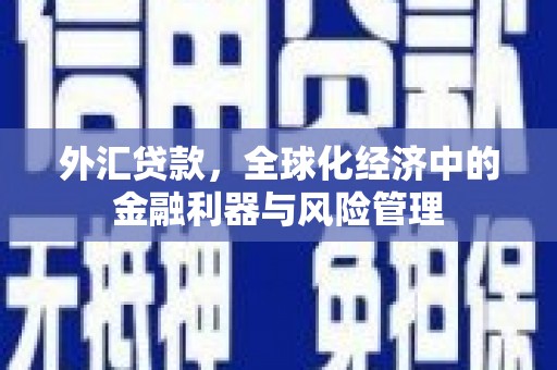 鹿谷外汇贷款，全球化经济中的金融利器与风险管理
