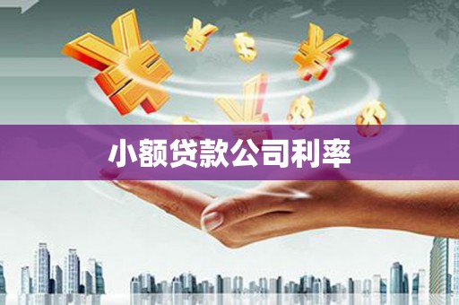 鹿谷小额贷款公司利率