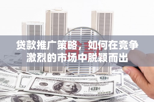 鹿谷贷款推广策略，如何在竞争激烈的市场中脱颖而出