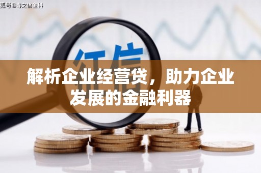 鹿谷解析企业经营贷，助力企业发展的金融利器