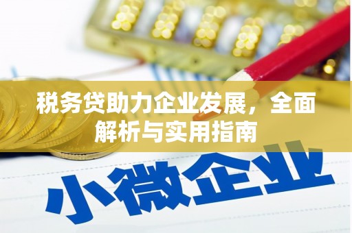 鹿谷税务贷助力企业发展，全面解析与实用指南