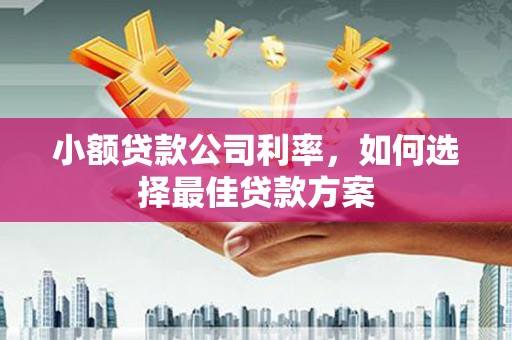 鹿谷小额贷款公司利率，如何选择最佳贷款方案