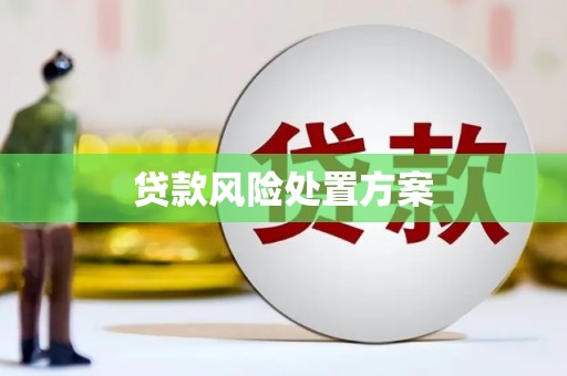 鹿谷贷款风险处置方案