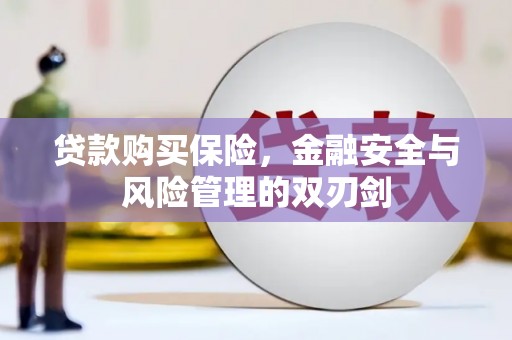 鹿谷贷款购买保险，金融安全与风险管理的双刃剑