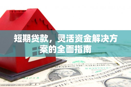 鹿谷短期贷款，灵活资金解决方案的全面指南