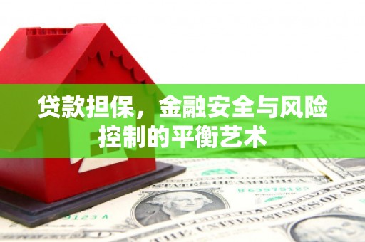 鹿谷贷款担保，金融安全与风险控制的平衡艺术