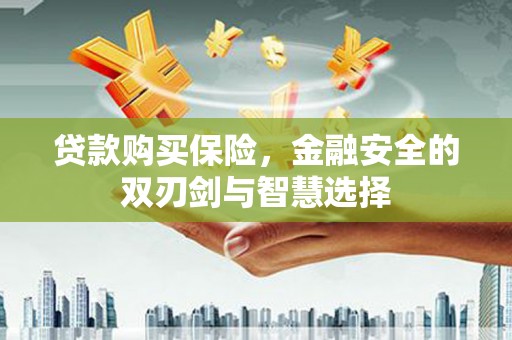 鹿谷贷款购买保险，金融安全的双刃剑与智慧选择
