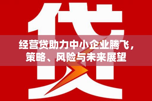 鹿谷经营贷助力中小企业腾飞，策略、风险与未来展望
