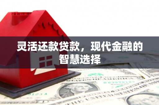 鹿谷灵活还款贷款，现代金融的智慧选择