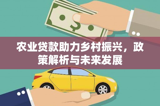 鹿谷农业贷款助力乡村振兴，政策解析与未来发展
