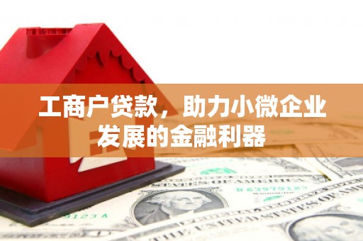 鹿谷工商户贷款，助力小微企业发展的金融利器