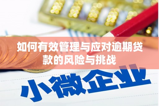 鹿谷如何有效管理与应对逾期贷款的风险与挑战