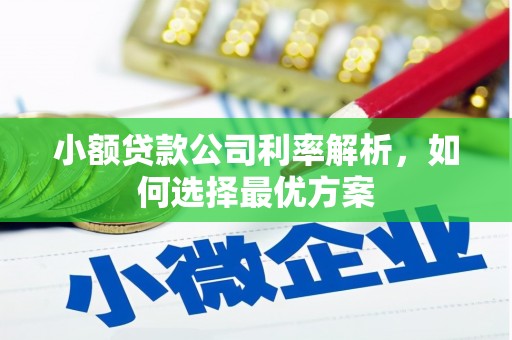 鹿谷小额贷款公司利率解析，如何选择最优方案