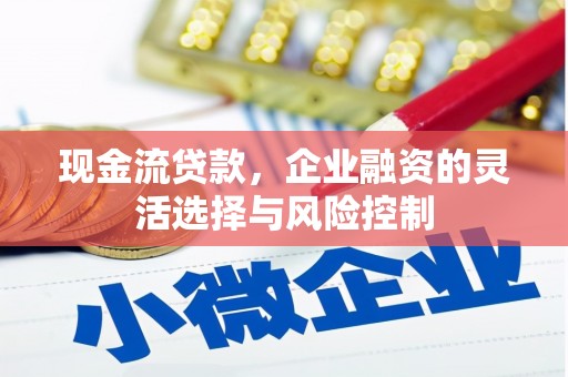 鹿谷现金流贷款，企业融资的灵活选择与风险控制