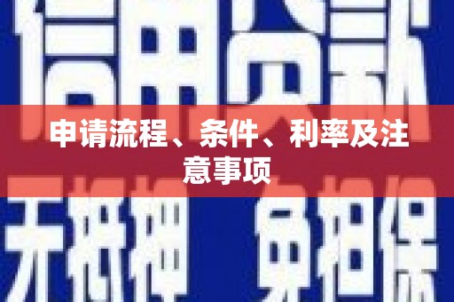 鹿谷申请流程、条件、利率及注意事项